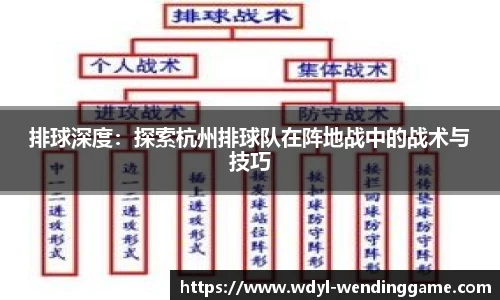 排球深度：探索杭州排球队在阵地战中的战术与技巧